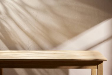 Sıcak öğle güneşinde sonbahar atmosferi olan çeşitli aksesuarlar..