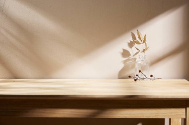 Sıcak öğle güneşinde sonbahar atmosferi olan çeşitli aksesuarlar..