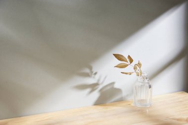 Sıcak öğle güneşinde sonbahar atmosferi olan çeşitli aksesuarlar..