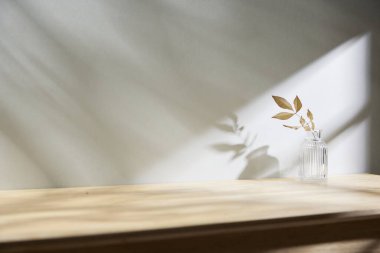 Sıcak öğle güneşinde sonbahar atmosferi olan çeşitli aksesuarlar..