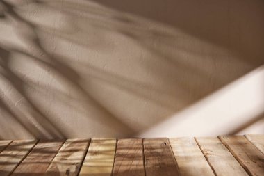 Sıcak öğle güneşinde sonbahar atmosferi olan çeşitli aksesuarlar..