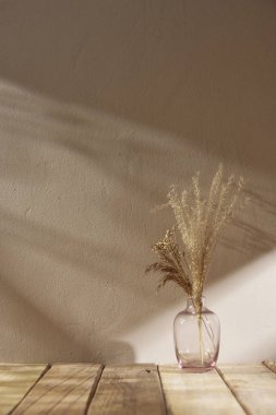 Sıcak öğle güneşinde sonbahar atmosferi olan çeşitli aksesuarlar..