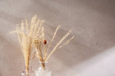 Sıcak öğle güneşinde sonbahar atmosferi olan çeşitli aksesuarlar..