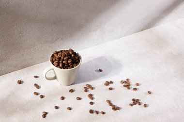 Sıcak öğle güneşinde sonbahar atmosferi olan çeşitli aksesuarlar..