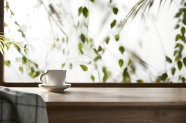 Öğleden sonra güneşinde yeşil yaprakların manzarası.