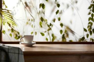 Öğleden sonra güneşinde yeşil yaprakların manzarası.