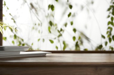 Öğleden sonra güneşinde yeşil yaprakların manzarası.