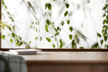 Öğleden sonra güneşinde yeşil yaprakların manzarası.