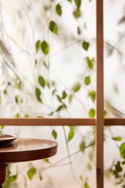 Öğleden sonra güneşinde yeşil yaprakların manzarası.