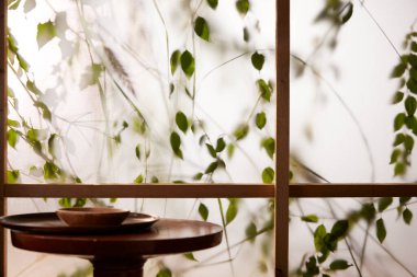 Öğleden sonra güneşinde yeşil yaprakların manzarası.