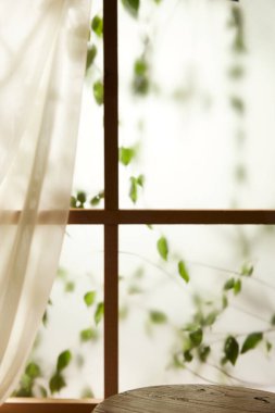 Öğleden sonra güneşinde yeşil yaprakların manzarası.