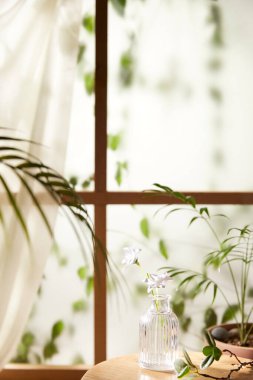 Öğleden sonra güneşinde yeşil yaprakların manzarası.