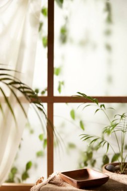 Öğleden sonra güneşinde yeşil yaprakların manzarası.