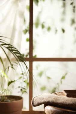 Öğleden sonra güneşinde yeşil yaprakların manzarası.