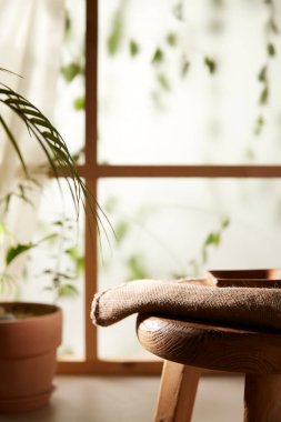 Öğleden sonra güneşinde yeşil yaprakların manzarası.