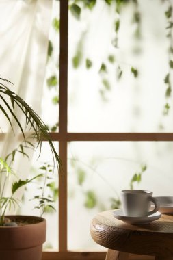 Öğleden sonra güneşinde yeşil yaprakların manzarası.