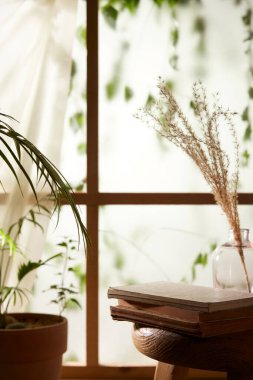 Öğleden sonra güneşinde yeşil yaprakların manzarası.