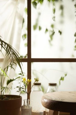 Öğleden sonra güneşinde yeşil yaprakların manzarası.