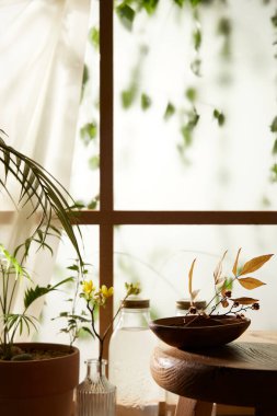 Öğleden sonra güneşinde yeşil yaprakların manzarası.