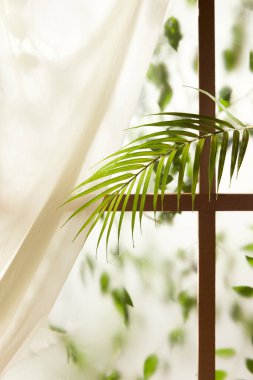 Öğleden sonra güneşinde yeşil yaprakların manzarası.