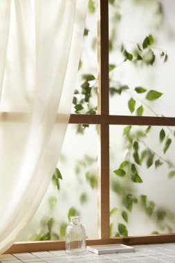 Öğleden sonra güneşinde yeşil yaprakların manzarası.