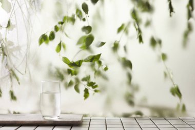 Öğleden sonra güneşinde yeşil yaprakların manzarası.