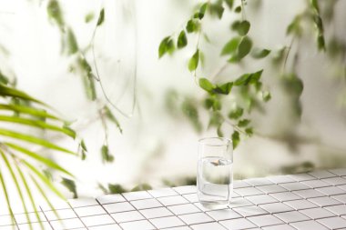 Öğleden sonra güneşinde yeşil yaprakların manzarası.