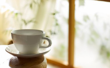 Öğleden sonra güneşinde yeşil yaprakların manzarası.