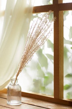 Öğleden sonra güneşinde yeşil yaprakların manzarası.