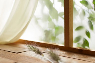 Öğleden sonra güneşinde yeşil yaprakların manzarası.