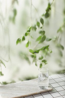 Öğleden sonra güneşinde yeşil yaprakların manzarası.