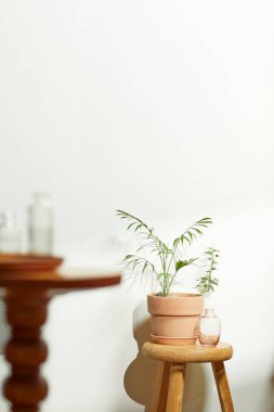 Sıcak bir öğleden sonra güneşinin, ağaç yaprakları manzaralı pencereden içeri girdiği rahat bir oda..