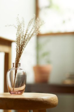 Sıcak bir öğleden sonra güneşinin, ağaç yaprakları manzaralı pencereden içeri girdiği rahat bir oda..