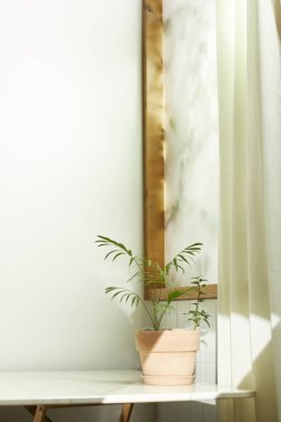 Sıcak bir öğleden sonra güneşinin, ağaç yaprakları manzaralı pencereden içeri girdiği rahat bir oda..