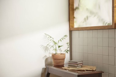 Sıcak bir öğleden sonra güneşinin, ağaç yaprakları manzaralı pencereden içeri girdiği rahat bir oda..