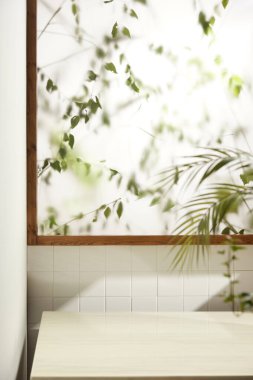 Sıcak bir öğleden sonra güneşinin, ağaç yaprakları manzaralı pencereden içeri girdiği rahat bir oda..