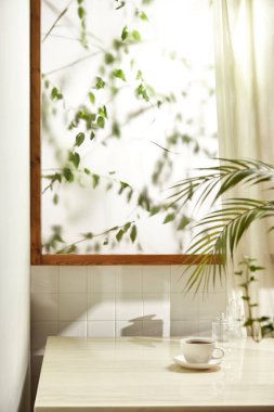 Sıcak bir öğleden sonra güneşinin, ağaç yaprakları manzaralı pencereden içeri girdiği rahat bir oda..