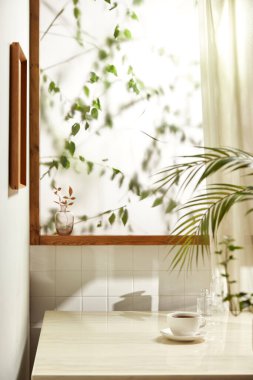 Sıcak bir öğleden sonra güneşinin, ağaç yaprakları manzaralı pencereden içeri girdiği rahat bir oda..