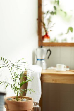 Sıcak bir öğleden sonra güneşinin, ağaç yaprakları manzaralı pencereden içeri girdiği rahat bir oda..