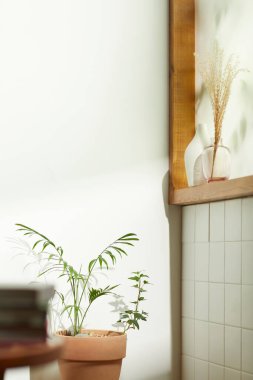 Sıcak bir öğleden sonra güneşinin, ağaç yaprakları manzaralı pencereden içeri girdiği rahat bir oda..