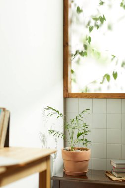 Sıcak bir öğleden sonra güneşinin, ağaç yaprakları manzaralı pencereden içeri girdiği rahat bir oda..