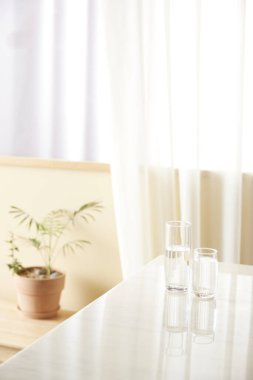 Güneş ışığının içeri aktığı rahat, parlak bir oda..