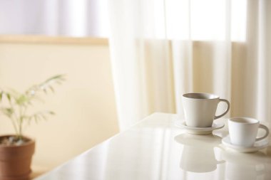 Güneş ışığının içeri aktığı rahat, parlak bir oda..