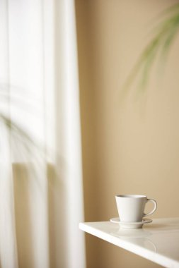 Güneş ışığının içeri aktığı rahat, parlak bir oda..