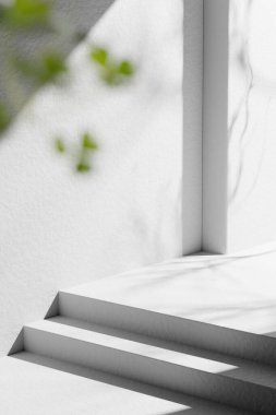 Tasarımlarında kullanabileceğin, gölgeleme açısından zengin bir arka plan. Dokulu duvarlar ve podyum, güneş ışığı altında..