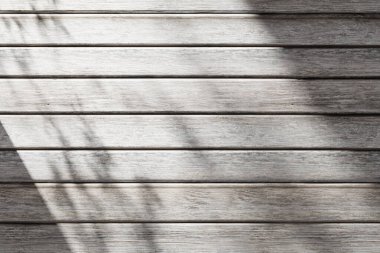 Güneş ışığı, ağaç gölgeleri, çeşitli dokular..