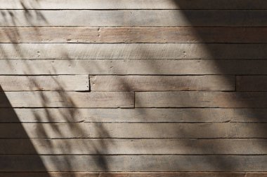 Güneş ışığı, ağaç gölgeleri, çeşitli dokular..