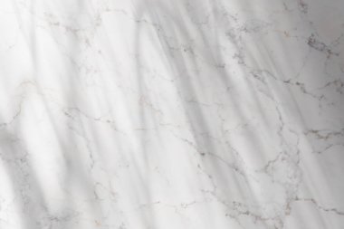 Güneş ışığı, ağaç gölgeleri, çeşitli dokular..