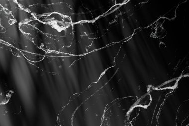 Güneş ışığı, ağaç gölgeleri, çeşitli dokular..