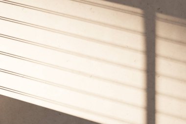 Güneş ışığı, ağaç gölgeleri, çeşitli dokular..